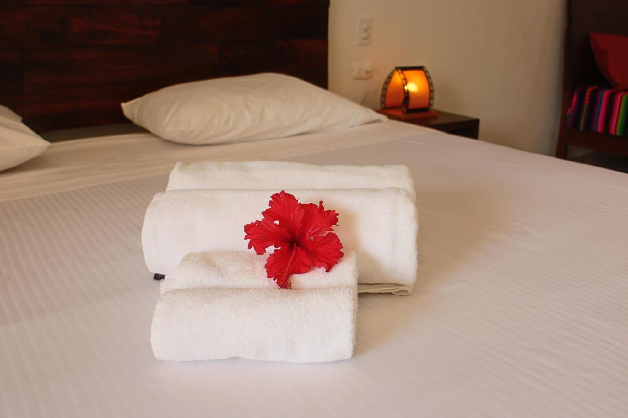 Basic Tulum Hotel Bagian luar foto